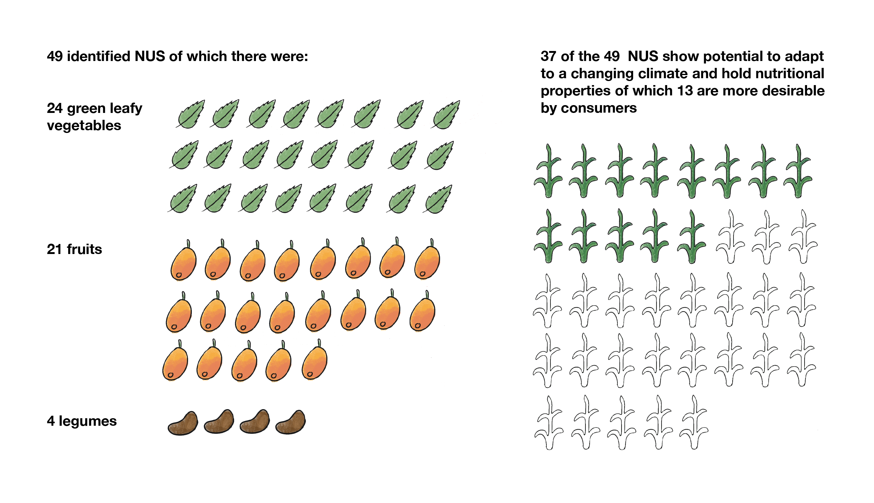 FOTO 4 — Infographic on plants researched